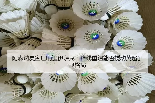 a-sen-na-xia-chuang-ya-shao-zhui-yi-sa-ke-feng-xian-chong-zu-neng-fou-jiao-dong-ying-chao-zheng-guan-ge-ju-3-871.jpg